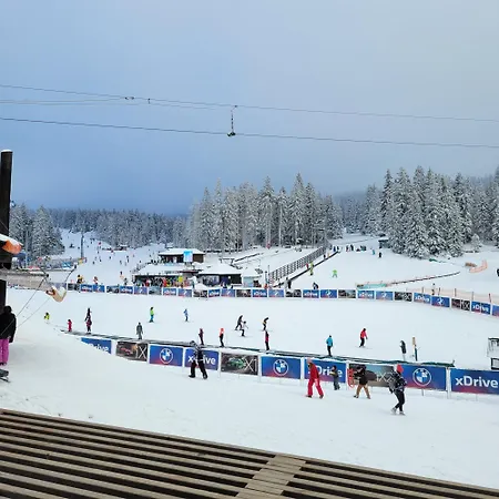 Pik - Milmari Apartman Kopaonik